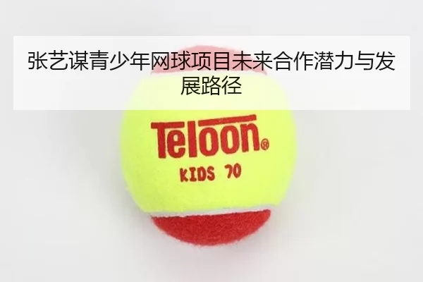 张艺谋青少年网球项目未来合作潜力与发展路径